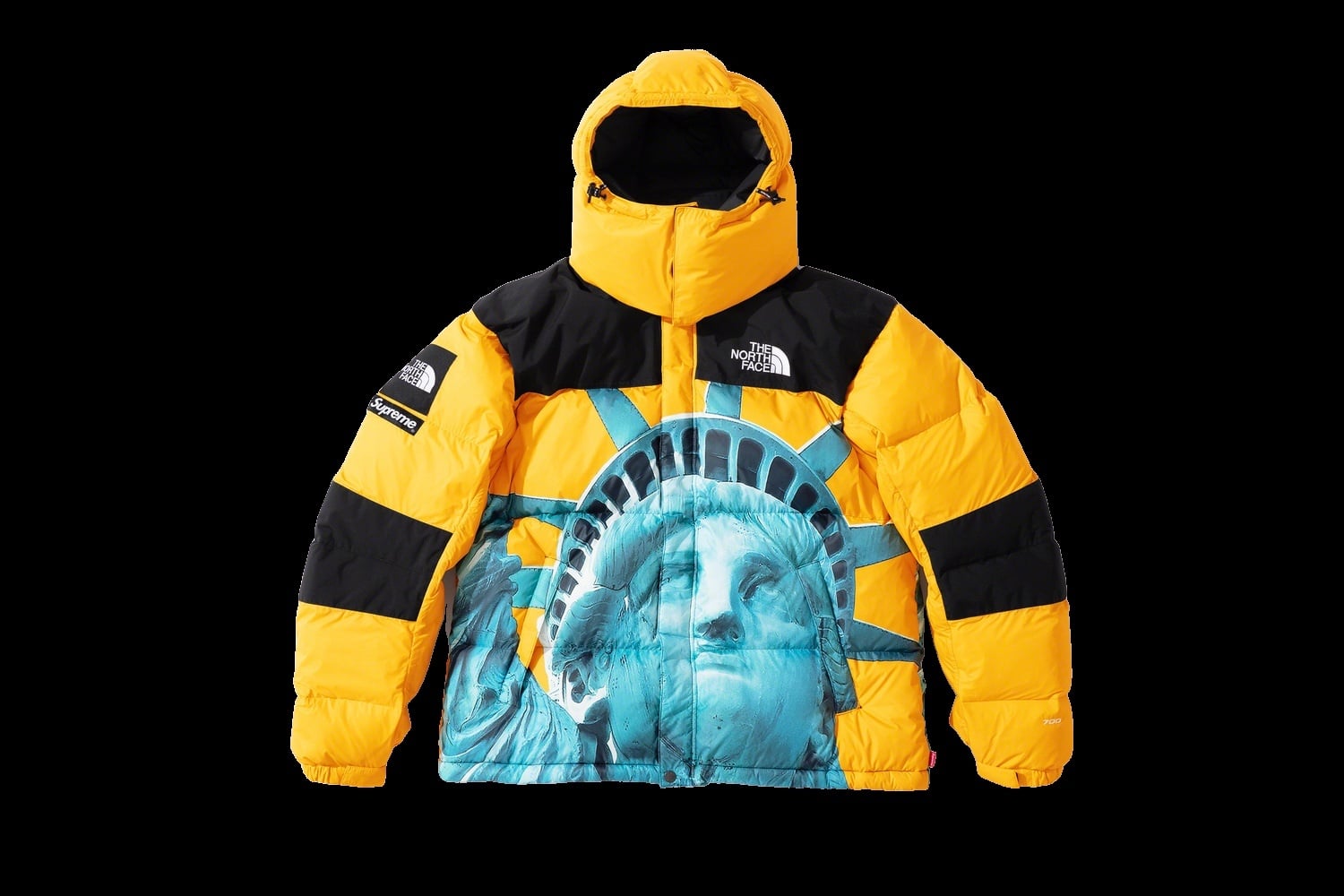 Supreme®/The North Face® Statue of Liberty Baltoro Jacket view 16